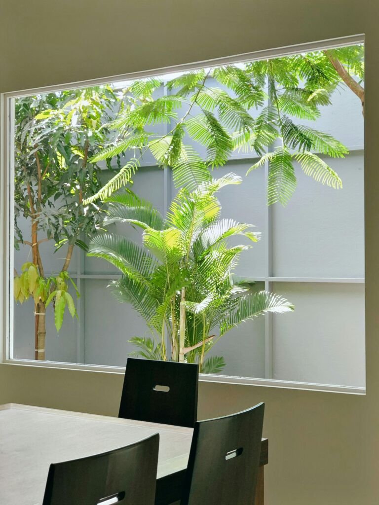 office space with loads of greenery showcasing web design in Woking, web design in Guildford